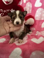 processed/f9caf3b6-4613-486a-9f69-bb9a0ba3d17f/listing/8c06ffac-a43a-4973-9295-35e0ef20bc8c/7218bf5c-451d-445f-90ff-097bfca8ef93