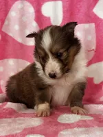 processed/f9caf3b6-4613-486a-9f69-bb9a0ba3d17f/listing/8c06ffac-a43a-4973-9295-35e0ef20bc8c/8e8bf6eb-40f8-406e-b129-af15d202af2b