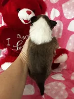 processed/f9caf3b6-4613-486a-9f69-bb9a0ba3d17f/listing/8c06ffac-a43a-4973-9295-35e0ef20bc8c/996739e1-ed3f-4b08-903f-baa0d84f9a52