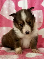 processed/f9caf3b6-4613-486a-9f69-bb9a0ba3d17f/listing/8c06ffac-a43a-4973-9295-35e0ef20bc8c/ae29b74b-faec-4ee4-acb0-7df18da55d0c