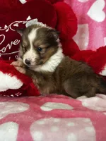 processed/f9caf3b6-4613-486a-9f69-bb9a0ba3d17f/listing/8c06ffac-a43a-4973-9295-35e0ef20bc8c/b101eaf4-fdae-4aef-be52-56c9fb7e7ff8