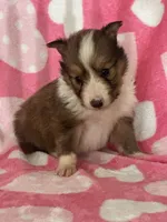 processed/f9caf3b6-4613-486a-9f69-bb9a0ba3d17f/listing/8c06ffac-a43a-4973-9295-35e0ef20bc8c/e146d8b1-912a-4192-b3d8-14be2b3982e5