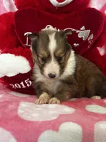 processed/f9caf3b6-4613-486a-9f69-bb9a0ba3d17f/listing/8c06ffac-a43a-4973-9295-35e0ef20bc8c/e6818397-aa7f-4671-88bb-efd6b16d8e12