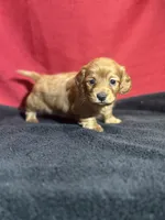 processed/f9caf3b6-4613-486a-9f69-bb9a0ba3d17f/listing/a310a574-acb8-4809-85c2-fdf7538c22bd/0a03fc66-880c-442b-90eb-de56dc30c759