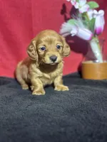 processed/f9caf3b6-4613-486a-9f69-bb9a0ba3d17f/listing/a310a574-acb8-4809-85c2-fdf7538c22bd/3f261154-4d18-4a4e-a815-7a67e11eb6c8