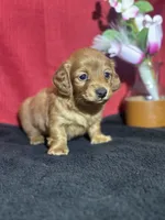 processed/f9caf3b6-4613-486a-9f69-bb9a0ba3d17f/listing/a310a574-acb8-4809-85c2-fdf7538c22bd/552e81e2-200b-4542-be34-5ba502da41aa