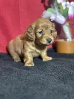 processed/f9caf3b6-4613-486a-9f69-bb9a0ba3d17f/listing/a310a574-acb8-4809-85c2-fdf7538c22bd/562415cc-f010-4b3b-9a0f-7b52aad2d831