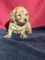 processed/f9caf3b6-4613-486a-9f69-bb9a0ba3d17f/listing/a310a574-acb8-4809-85c2-fdf7538c22bd/9dc94e7f-d87c-46aa-91ed-a5b5958c7d80