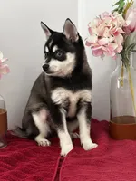 processed/f9caf3b6-4613-486a-9f69-bb9a0ba3d17f/listing/bfb8a69d-2abf-4211-aa5c-be49be0a4702/125680f8-040d-4a67-b423-a430ec655309