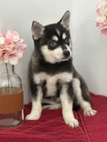 processed/f9caf3b6-4613-486a-9f69-bb9a0ba3d17f/listing/bfb8a69d-2abf-4211-aa5c-be49be0a4702/8b90f61d-f6dd-471d-b1b0-40507d17fb4b