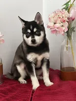 processed/f9caf3b6-4613-486a-9f69-bb9a0ba3d17f/listing/bfb8a69d-2abf-4211-aa5c-be49be0a4702/a6bcb343-f439-4030-9359-f8b79ba66226