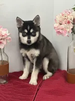 processed/f9caf3b6-4613-486a-9f69-bb9a0ba3d17f/listing/bfb8a69d-2abf-4211-aa5c-be49be0a4702/cc80b667-c067-4192-bf12-71690cd93125