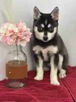 processed/f9caf3b6-4613-486a-9f69-bb9a0ba3d17f/listing/bfb8a69d-2abf-4211-aa5c-be49be0a4702/d4c684f9-bcb4-4d88-b5a0-3be4ef865a0a