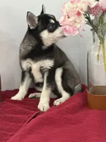 processed/f9caf3b6-4613-486a-9f69-bb9a0ba3d17f/listing/bfb8a69d-2abf-4211-aa5c-be49be0a4702/e4530a0d-ee0f-407d-92d8-8ea6283cd12e