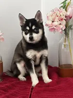 processed/f9caf3b6-4613-486a-9f69-bb9a0ba3d17f/listing/bfb8a69d-2abf-4211-aa5c-be49be0a4702/ef4f88ef-de24-4e7b-9d5f-243c94e84ebf