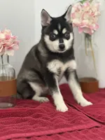 processed/f9caf3b6-4613-486a-9f69-bb9a0ba3d17f/listing/bfb8a69d-2abf-4211-aa5c-be49be0a4702/f40d1855-cb9d-43c9-a80d-003ca5eb26a8