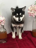 processed/f9caf3b6-4613-486a-9f69-bb9a0ba3d17f/listing/d636176c-d97e-4ca7-857a-1fc467e6723d/2279daf6-2b39-4e76-9381-6dfc77793802