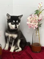 processed/f9caf3b6-4613-486a-9f69-bb9a0ba3d17f/listing/d636176c-d97e-4ca7-857a-1fc467e6723d/286b8eca-14b0-4cd8-97c5-3687efcfd2d0