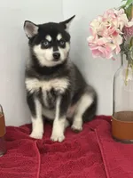 processed/f9caf3b6-4613-486a-9f69-bb9a0ba3d17f/listing/d636176c-d97e-4ca7-857a-1fc467e6723d/33a2084f-3c40-4fe7-a858-e2fc0085ca5c