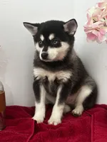 processed/f9caf3b6-4613-486a-9f69-bb9a0ba3d17f/listing/d636176c-d97e-4ca7-857a-1fc467e6723d/5a43bf18-f16c-4364-9e42-201faddf414c