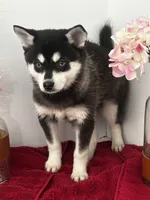 processed/f9caf3b6-4613-486a-9f69-bb9a0ba3d17f/listing/d636176c-d97e-4ca7-857a-1fc467e6723d/ae7ddb48-5c7e-4228-a2a5-06c4168ace90