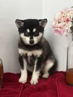 processed/f9caf3b6-4613-486a-9f69-bb9a0ba3d17f/listing/d636176c-d97e-4ca7-857a-1fc467e6723d/fc6ff704-f9d9-4d67-93b6-28a55d236be2