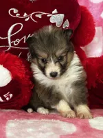 processed/f9caf3b6-4613-486a-9f69-bb9a0ba3d17f/listing/e74ae858-db06-428a-8854-ef3792bac768/0c8bdef4-1d7f-4cb2-85ea-cfe343c7712f