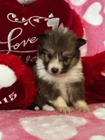 processed/f9caf3b6-4613-486a-9f69-bb9a0ba3d17f/listing/e74ae858-db06-428a-8854-ef3792bac768/12653cbd-d14f-41b2-8b5a-ac6a5604b8f1