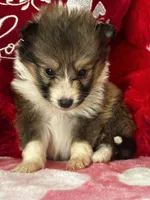 processed/f9caf3b6-4613-486a-9f69-bb9a0ba3d17f/listing/e74ae858-db06-428a-8854-ef3792bac768/1c6fa693-ebc2-4264-b980-abf092a17d60