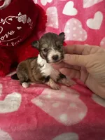 processed/f9caf3b6-4613-486a-9f69-bb9a0ba3d17f/listing/e74ae858-db06-428a-8854-ef3792bac768/240efda8-623a-43c5-a2c5-f8a78f2b09f4