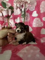 processed/f9caf3b6-4613-486a-9f69-bb9a0ba3d17f/listing/e74ae858-db06-428a-8854-ef3792bac768/262d41ab-0222-469f-b2c0-ffb6fc0151ba