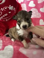 processed/f9caf3b6-4613-486a-9f69-bb9a0ba3d17f/listing/e74ae858-db06-428a-8854-ef3792bac768/38e57873-c1e3-49a7-b24e-395aa97ef5f9