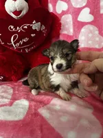 processed/f9caf3b6-4613-486a-9f69-bb9a0ba3d17f/listing/e74ae858-db06-428a-8854-ef3792bac768/83e10f2a-12c9-4f8b-b213-8c18754909a7