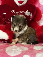 processed/f9caf3b6-4613-486a-9f69-bb9a0ba3d17f/listing/e74ae858-db06-428a-8854-ef3792bac768/d48ef61f-0d25-4d6f-99f4-4f86e19515d2