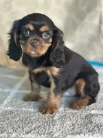 processed/f9caf3b6-4613-486a-9f69-bb9a0ba3d17f/listing/e9b6d343-08ce-403d-9171-fac57edd11fa/cd76b4ce-4d5e-4729-a984-1029ee591199