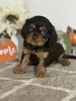 processed/f9caf3b6-4613-486a-9f69-bb9a0ba3d17f/listing/e9b6d343-08ce-403d-9171-fac57edd11fa/d4f47389-49fa-4247-91c9-da3cb0ab5af0