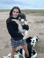 Bear, a male Newfoundland for sale in Carr, CO – 10 of 10