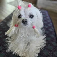 processed/f9e2b108-9cf0-4cd0-bb8a-a0d0606d891c/facility/4073242f-3a09-4291-9b7a-de5680e2cbfc