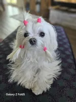 processed/f9e2b108-9cf0-4cd0-bb8a-a0d0606d891c/facility/4073242f-3a09-4291-9b7a-de5680e2cbfc