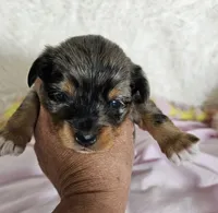 processed/f9e2b108-9cf0-4cd0-bb8a-a0d0606d891c/listing/9ef3d1f7-c777-478b-9427-e12bc70ca64a/07a1635f-e410-4d6d-bc2d-2611fa6bf676