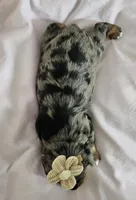 processed/f9e2b108-9cf0-4cd0-bb8a-a0d0606d891c/listing/9ef3d1f7-c777-478b-9427-e12bc70ca64a/0de245df-eafc-40b6-a62d-6ddfe2fe5331