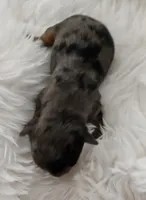 processed/f9e2b108-9cf0-4cd0-bb8a-a0d0606d891c/listing/9ef3d1f7-c777-478b-9427-e12bc70ca64a/4874b497-b863-4104-a43f-eb054c835842