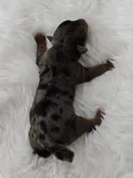 processed/f9e2b108-9cf0-4cd0-bb8a-a0d0606d891c/listing/9ef3d1f7-c777-478b-9427-e12bc70ca64a/645c00f9-39ba-4cbe-af83-394d44f13bde