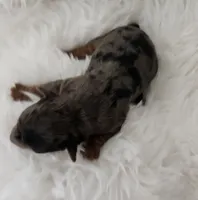 processed/f9e2b108-9cf0-4cd0-bb8a-a0d0606d891c/listing/9ef3d1f7-c777-478b-9427-e12bc70ca64a/719b1712-ce75-40ae-a8b4-8c78fb2ca7fb