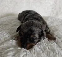 processed/f9e2b108-9cf0-4cd0-bb8a-a0d0606d891c/listing/9ef3d1f7-c777-478b-9427-e12bc70ca64a/bc020815-b30e-44b0-bbb7-8d10004b7308