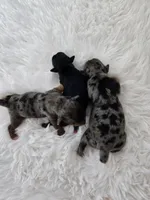 processed/f9e2b108-9cf0-4cd0-bb8a-a0d0606d891c/listing/9ef3d1f7-c777-478b-9427-e12bc70ca64a/c99cdab0-da82-40a0-b645-b90d5be626a8