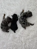 processed/f9e2b108-9cf0-4cd0-bb8a-a0d0606d891c/listing/bdb1b176-bbc8-4b29-b376-9808a793df4e/03312802-e842-4d80-a860-99f66096ca24