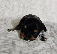 processed/f9e2b108-9cf0-4cd0-bb8a-a0d0606d891c/listing/bdb1b176-bbc8-4b29-b376-9808a793df4e/05b6cb32-a08a-4f7a-859e-266eb0d2d841