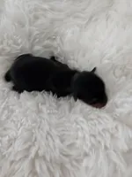 processed/f9e2b108-9cf0-4cd0-bb8a-a0d0606d891c/listing/bdb1b176-bbc8-4b29-b376-9808a793df4e/15b39378-81c5-42ea-a6e8-a25f59ee704a