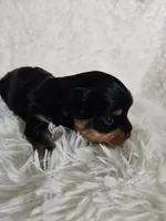 processed/f9e2b108-9cf0-4cd0-bb8a-a0d0606d891c/listing/bdb1b176-bbc8-4b29-b376-9808a793df4e/3309a507-54b4-4739-aaab-cfcc7c264857